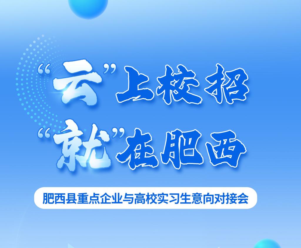 “云”上校招  “就”在肥西——肥西县重点企业与高校实习生意向对接会